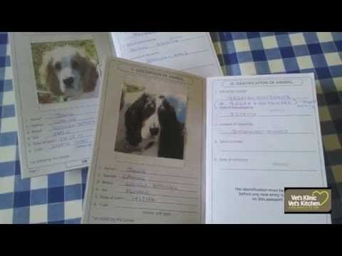 Pet Passport