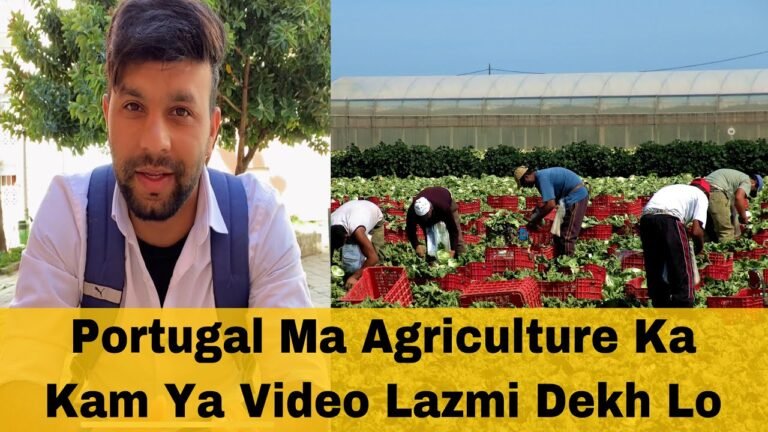 Portugal 🇵🇹 Agriculture ka kam karny waly kam kasa ha