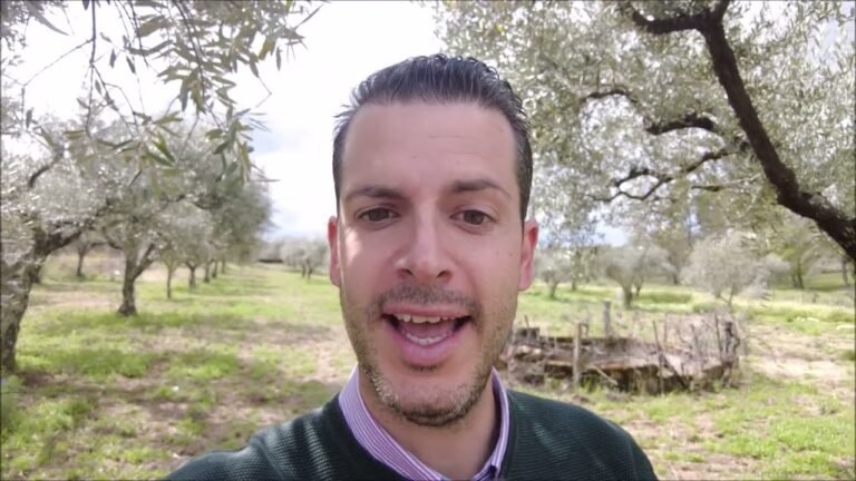 Portuguese farm for sale | Quinta Portuguesa para venda | € 81.500,00