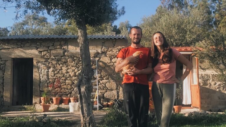 Renovating our kitchen, back to work on our tiny home stone barn self build in Central Portugal 🌱🐓