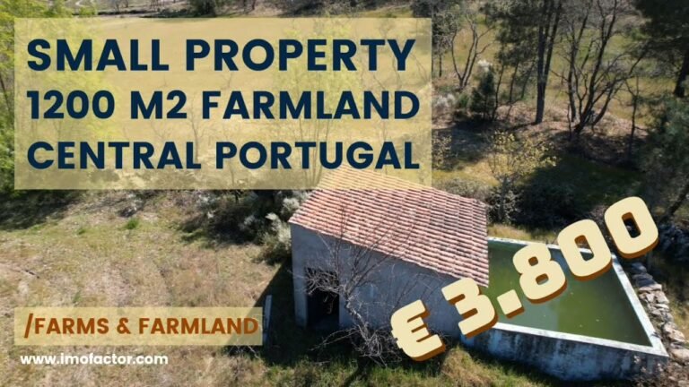 🌾 Small Property – Cheap Off Grid Farmland For Sale Central Portugal | €3800