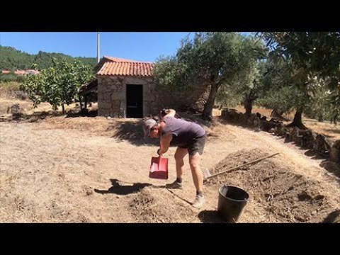 Solo Woman Goes Off Grid in Central Portugal and Shares Her Journey from the Start