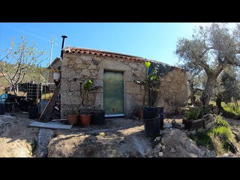 Tour of My Half Acre of Off Grid Land in Central Portugal