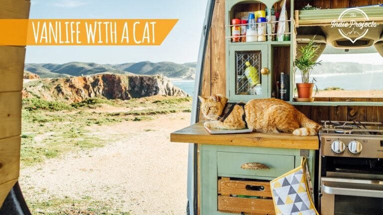 Van Life With a Cat! Portugal Roadtrip Ep. 2