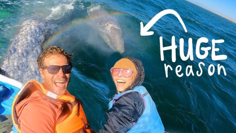 WHY CONSIDER BUYING PROPERTY IN BAJA, MEXICO… we had no idea 🐋