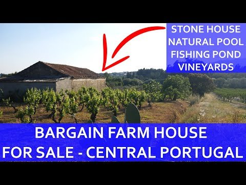 BARGAIN FARM FOR SALE – NATURAL SWIMMING POOL, FISHING POND, VINEYARDS – SELF SUFFICIENT IN PORTUGAL