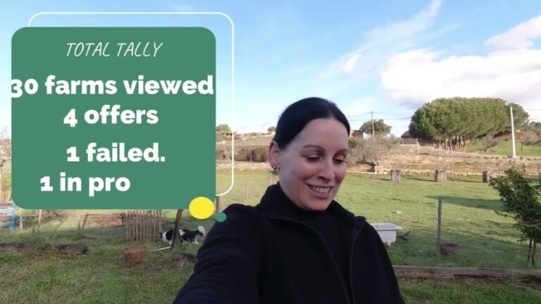 Buying a Farm in Portugal | My Experience of OTP Process of Buying a Farm