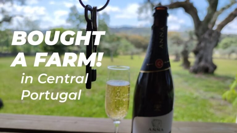 Deed Signing Day! | I Bought a Farm in Central Portugal
