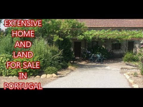 FOR SALE IN PORTUGAL 6.6 Hectare.  Fully furnished house on homestead with machinery included.