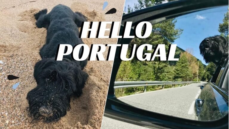 HELLO PORTUGAL – Family trip with our Giant Schnauzer