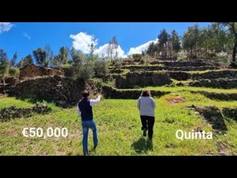 Heavenly Abandoned Portuguese Quinta with lake views! Heavenly Abandoned Portuguese Quinta with lake views!