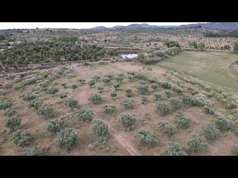 Monsanto 100 Hectares | Property for Sale