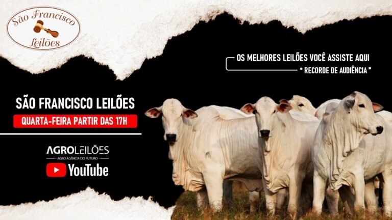 SÃO FRANCISCO LEILÕES AO VIVO COM GADO NO RECINTO – 18/05/2022 – UBERABA-MG