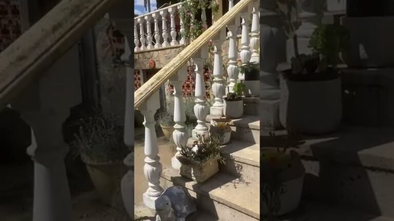 Villa das Rosas Portugal