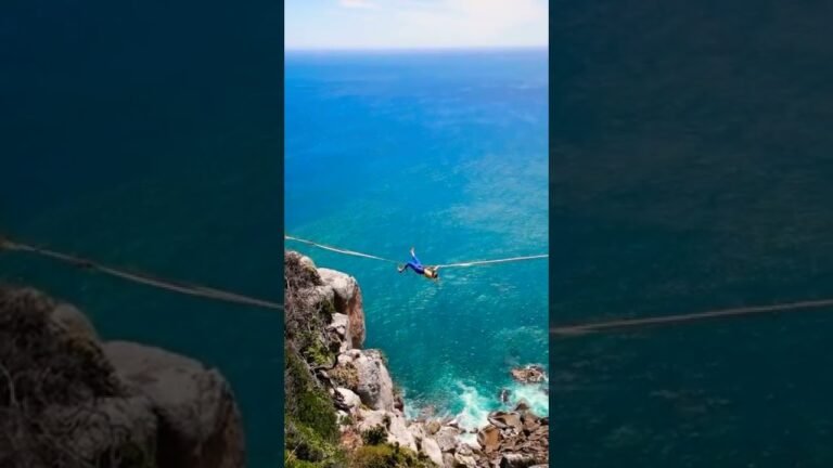 Zipline Video 😱#shorts #zipline #youtubeshorts