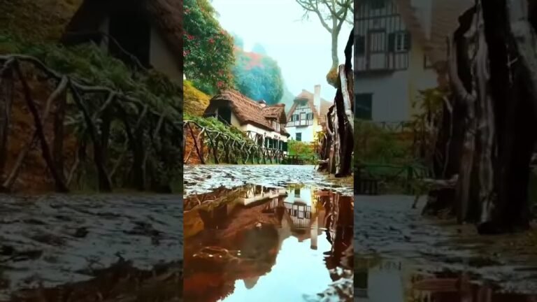 a charming village in Madeira, Portugal 🇵🇹♥️😍 #Travel #shorts #traveling #travellerlife #vacation