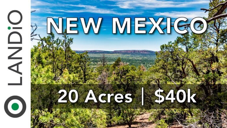 20 Acres of New Mexico Land for Sale near National Forest • LANDiO