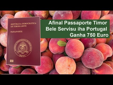 Afinal Passaporte Timor Bele Servisu iha Portugal Ganha 750 Euro