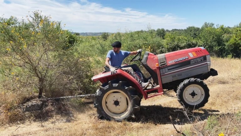 Cleaning A 70 Years Abandoned Driveway On My Farm In Central Portugal