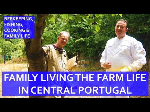 FAMILY LIVING ON A FARM IN CENTRAL PORTUGAL – PORTUGUESE FRUIT FARMING AND LOVING LIFE!