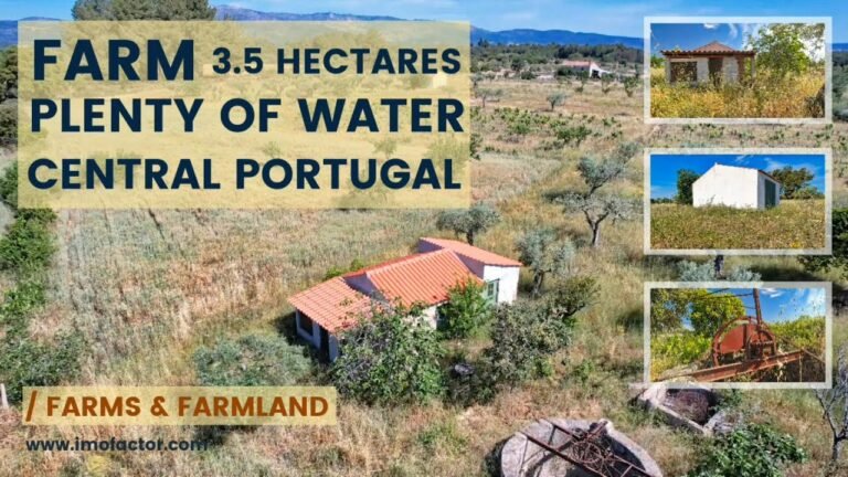 🔆 Farm with 3,5 Hectares | Plenty of Water | Central Portugal | €70000