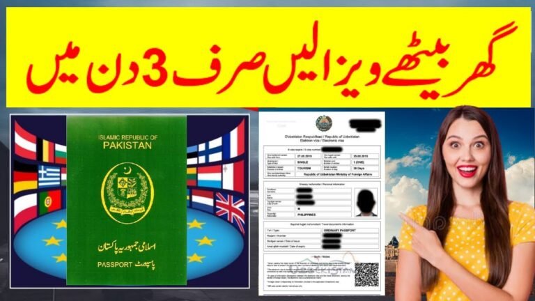 Good News E-Visa on Pakistani Passport | visa in 3days | (E-VISA)