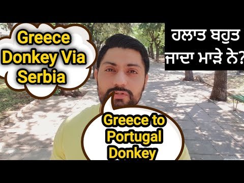 Greece to Portugal donkey – Greece donkey Punjabi information via Serbia Punjabi in Greece