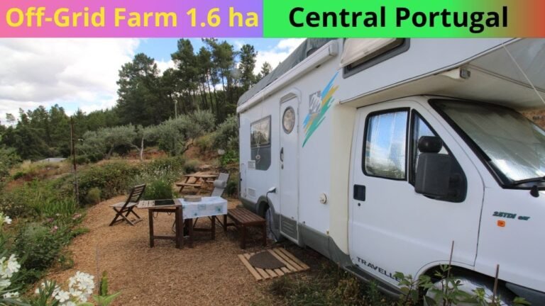 🇵🇹 Off-Grid farm for sale | 1.6 ha | €36.500,00