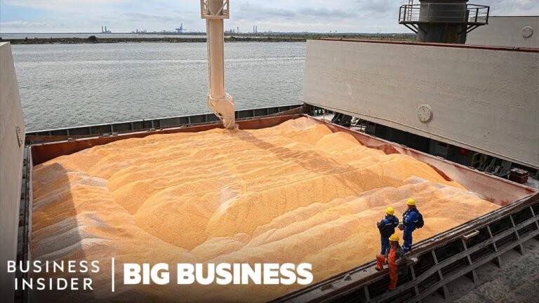 Over 20 Million Tons Of Grain Are Stuck In Ukraine. What Does That Mean For The World?