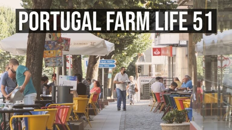 Portugal Farm Life 51 – Fundao visit and how to import a car in Portugal