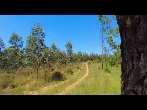 Portugal camp site. On a road trip to check out certain areas for buying a property.