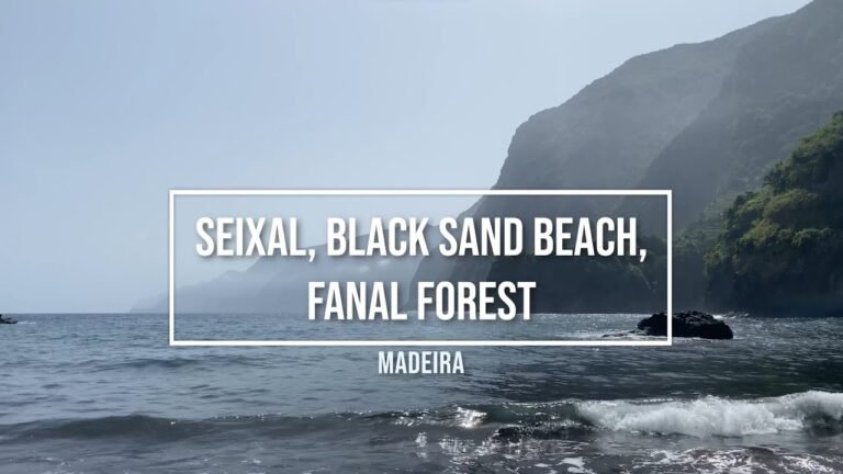 Seixal Beach | Fanal Forest | Madeira | Portugal