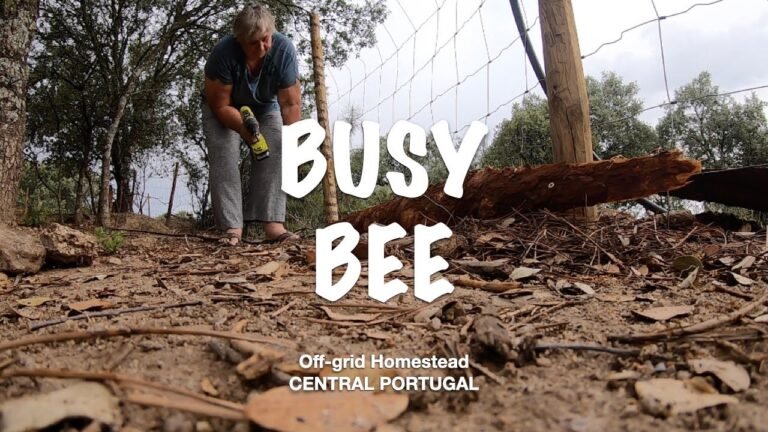 Solo and over 60, living off-grid in PORTUGAL / BUSY BEE