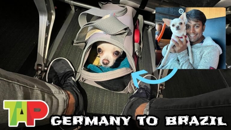 TRIP REPORT | Germany to Brazil via Portugal with my pet dog in cabin | TAP Portugal | Tamil Vlog