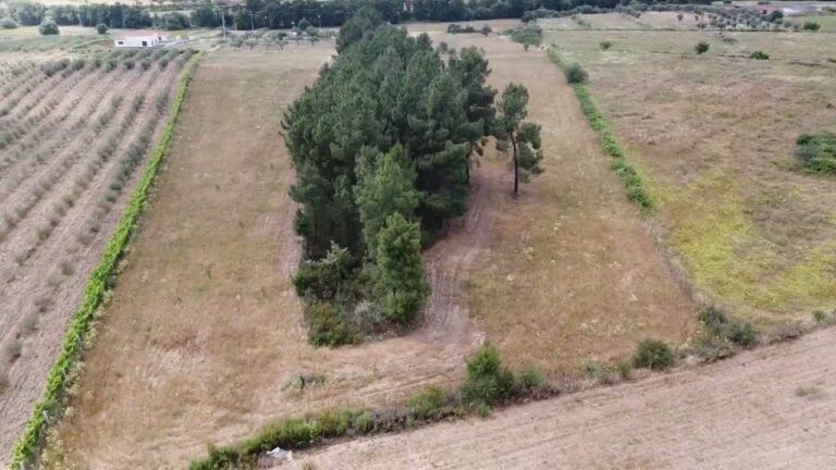 "First Flight" – with Drone ;) "First Flight" – with Drone ;)