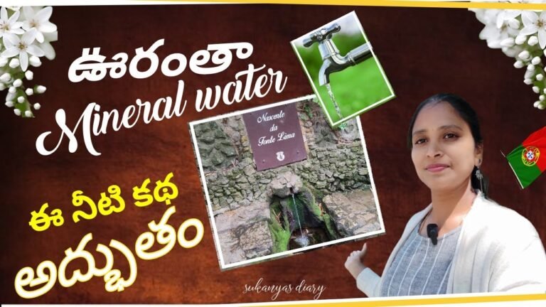 ఈ నీటి కథే వేరు|| ఊరంతా Mineral water||#sukanyasdiary||#portugalteluguvlogs||#villagevlogs#portugal