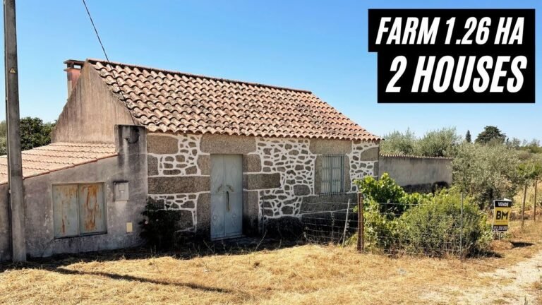 🇵🇹 1.26 ha farm | 2 Houses | Water | Electricity | €49.900,00