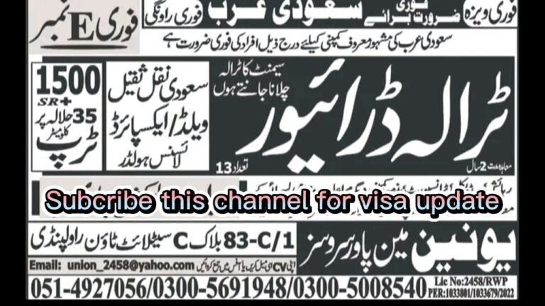 ویزے آ گئے #viral #fyp #news #visa