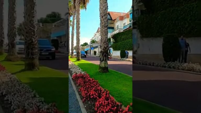 Travel to Portugal 🇵🇹