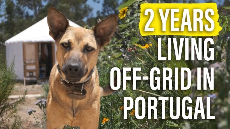 2yr’s Off Grid Update – Lessons Learned Living Off-Grid in Portugal – Life Reimagined