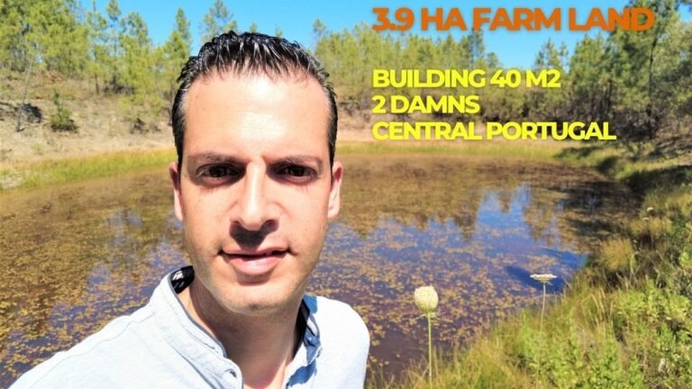 🇵🇹 3.9 ha Farm Land for sale | Building | Water 2 dams | €29.000,00