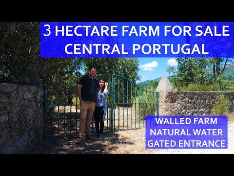 CHEAP 3 HECTARE WALLED FARM FOR SALE – CENTRAL PORTUGAL BARGAIN HOMESTEAD REAL ESTATE