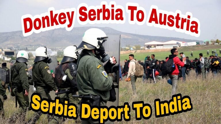 Donkey Serbia To Austria #Serbia,Deport,To,India