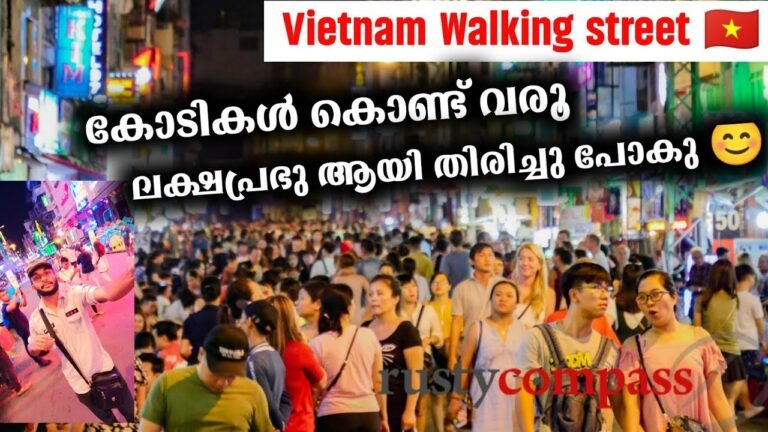 EP 5 🇻🇳 | കോടികൾ കൊണ്ട് വരൂ ലക്ഷപ്രഭു ആവൂ 😜| Vietnam walking street