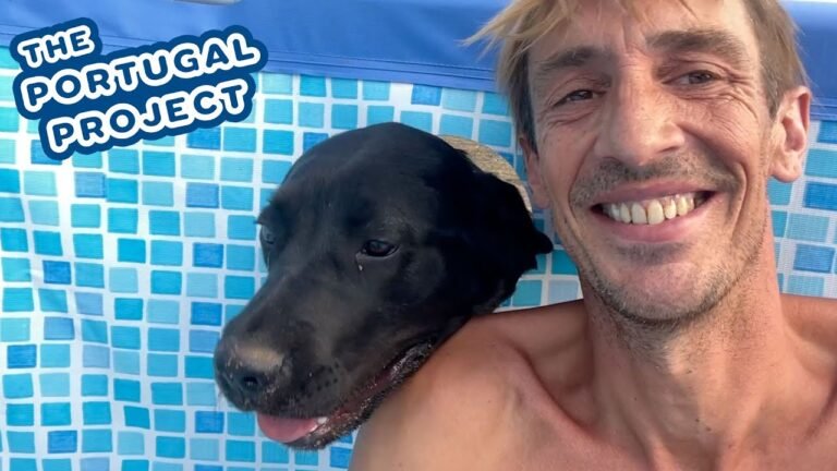 FINALLY A POOL :) | Portuguese DIY Home Renovation FINALLY A POOL :) | Portuguese DIY Home Renovation