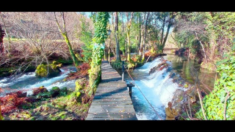 For Sale Fishing Park and Tourist Complex overlooking the River , Northern Portugal