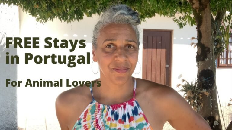 House Sitting Q & A | How to House Sit in Portugal