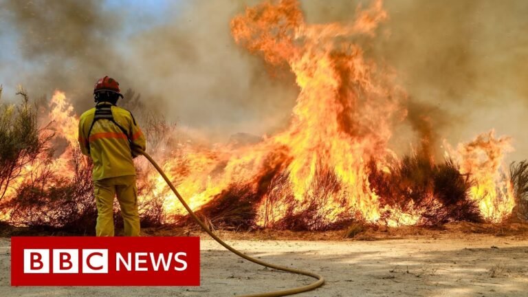 Is climate change to blame for extreme heat in Europe? – BBC News