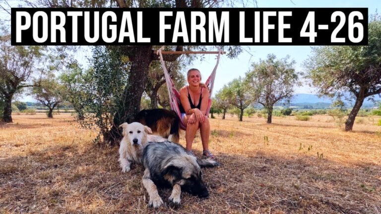 Keeping COOL during a HEATWAVE🌞🔥❤ | PORTUGAL FARM LIFE S4-E26