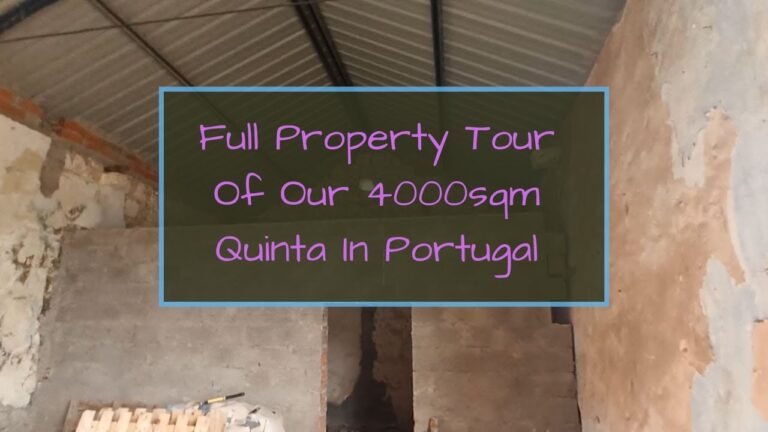 Portugal Farm Renovation – Full Tour Of Our 4000sqm Quinta We Bought In Central Portugal